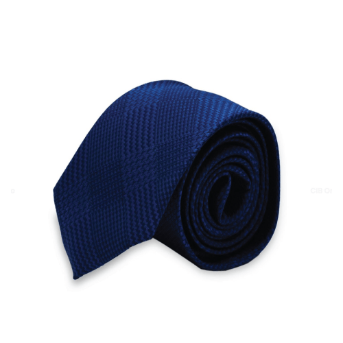 Classy Professional Tie for Men