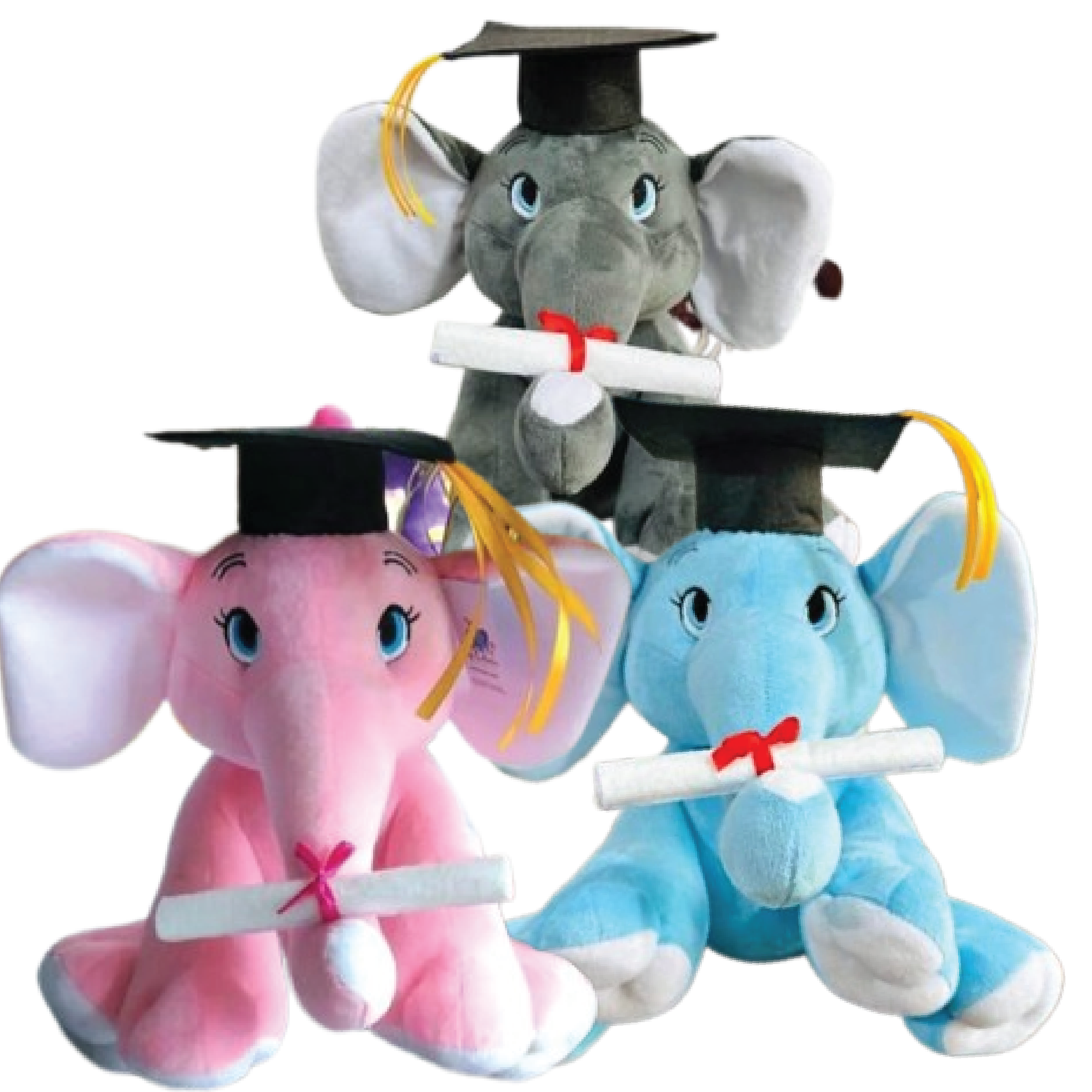 Graduation Elephant Collection 01