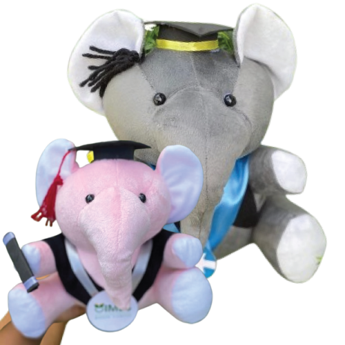 Graduation Elephant Collection 02