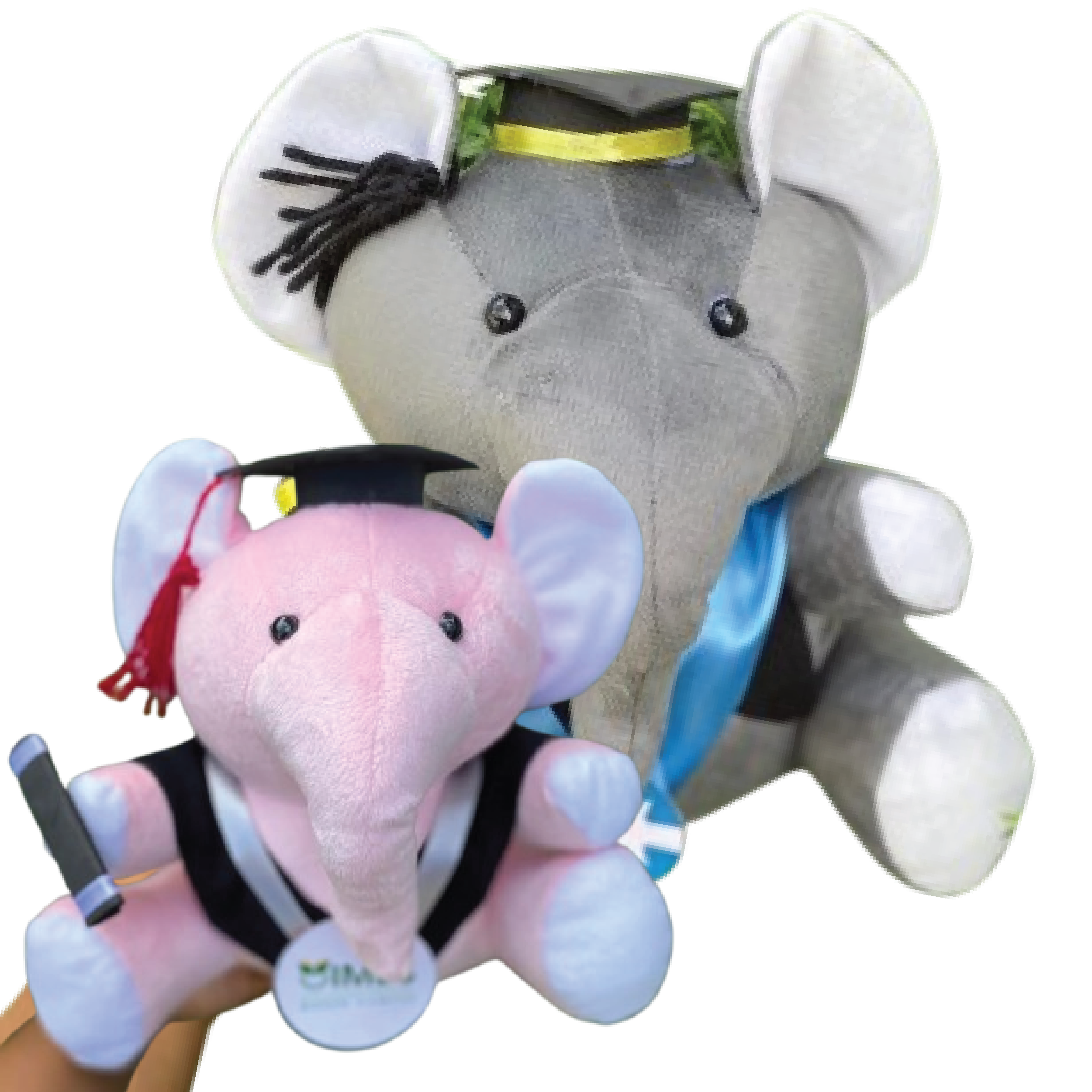 Graduation Elephant Collection 02