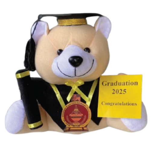 Graduation Teddy
