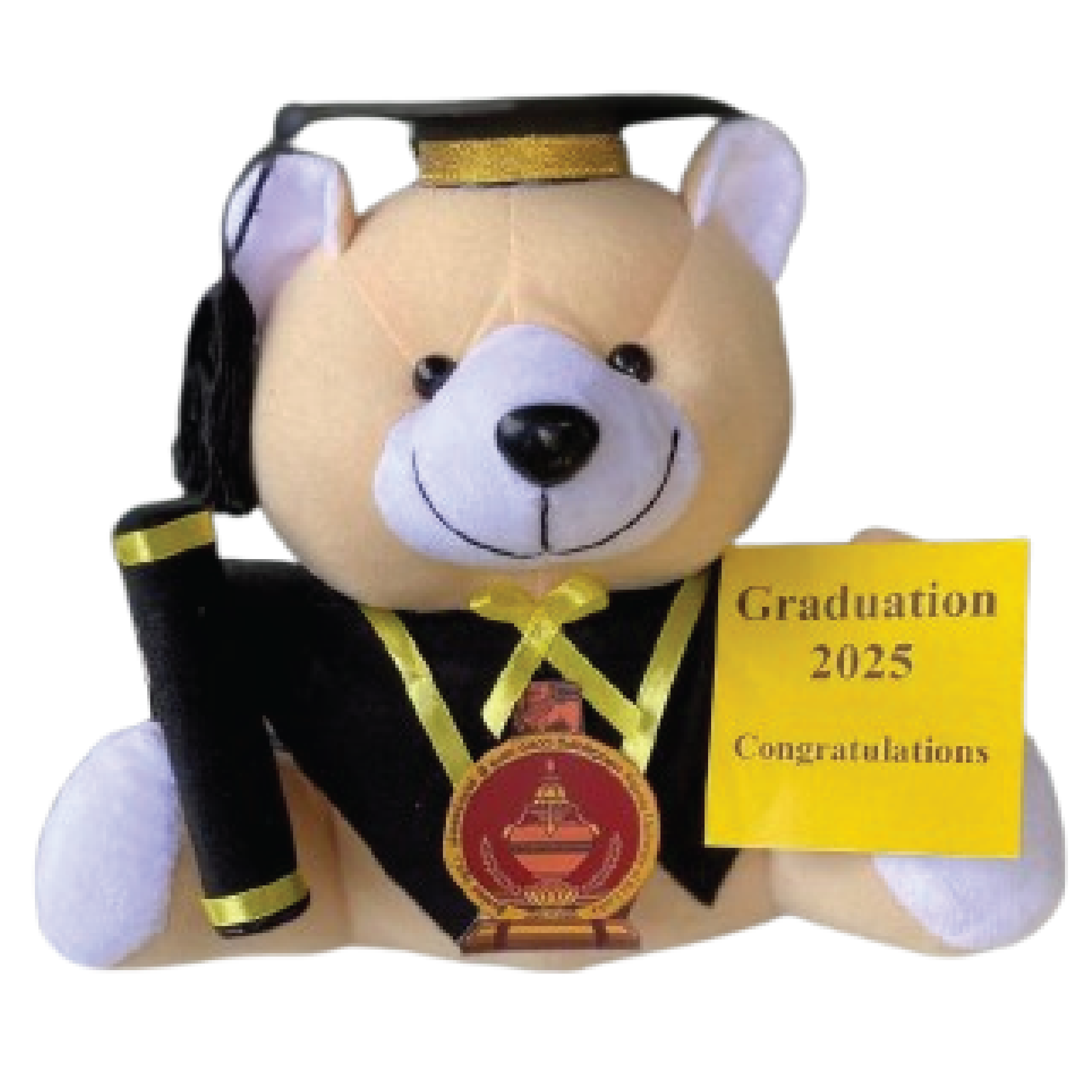Graduation Teddy