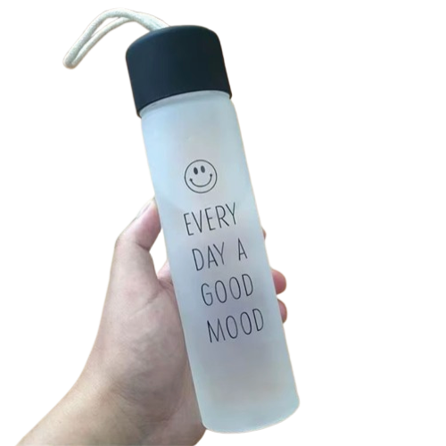 Portable Frosted Glass Water Bottle 360ml