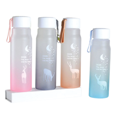 Leakproof Water Bottle 560ml